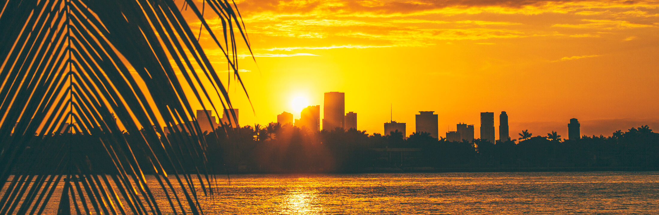 Miami skyline at sunset