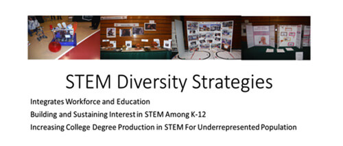 STEM diversity strategies