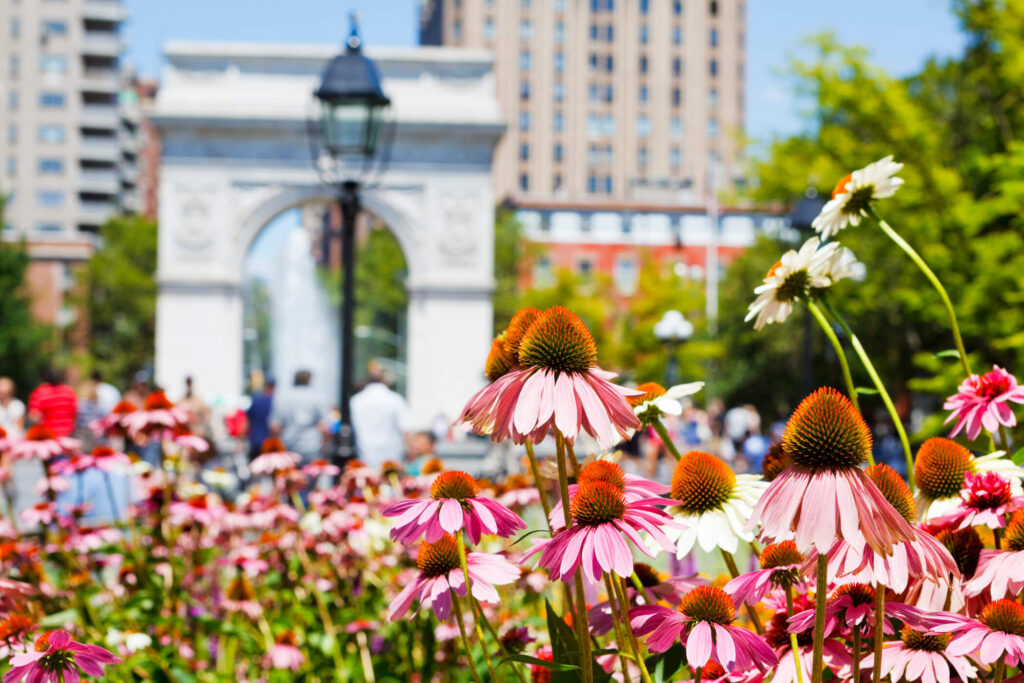 Washington Square Arch viewed from the south, with summer flowers in the foreground